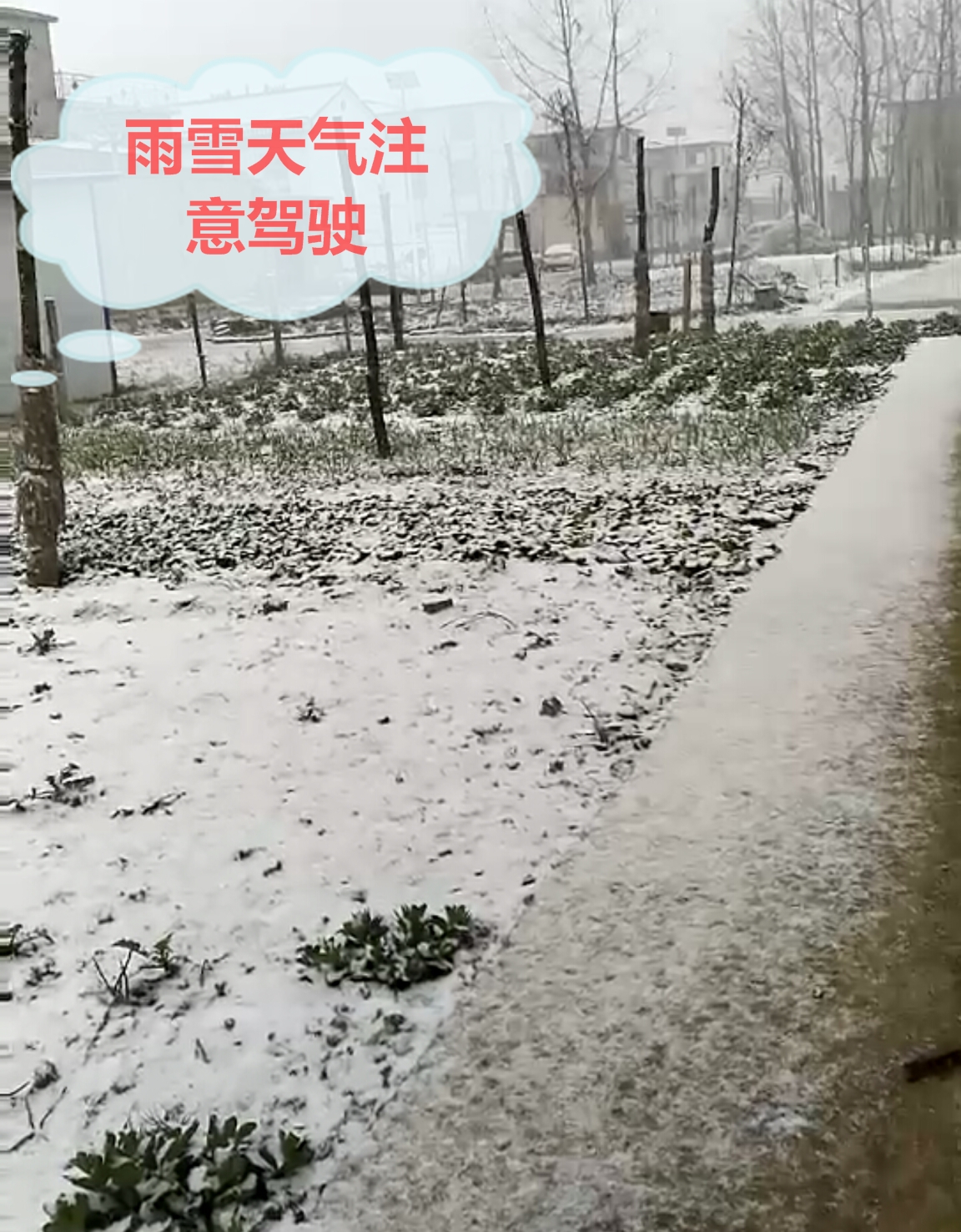 雪_看圖王.jpg